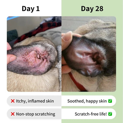 Allergy & Itch Supplement