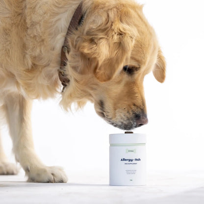 Allergy & Itch Supplement
